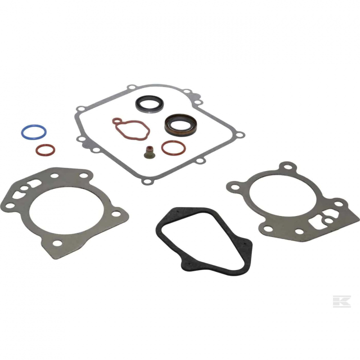 Gasket Kit B&S 595350 i gruppen B&S 08P502-0022-H1 hos Motorsågsbutiken (5822886-23)